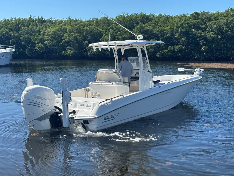 Slide: The Image of Boston Whaler 270 Dauntless 2020 - 0