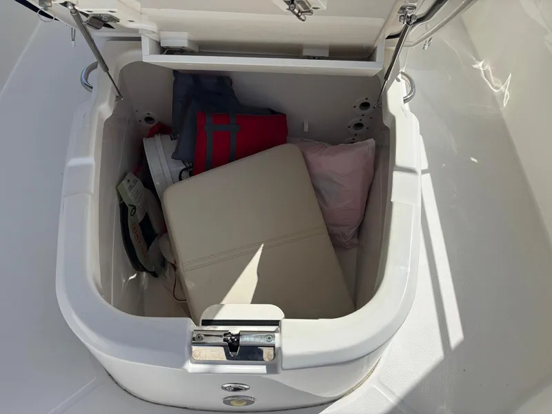 Slide: The Image of Boston Whaler 270 Dauntless 2020 - 12