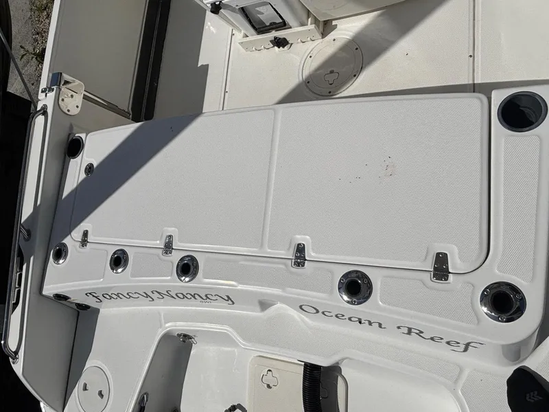 Slide: The Image of Boston Whaler 270 Dauntless 2020 - 19