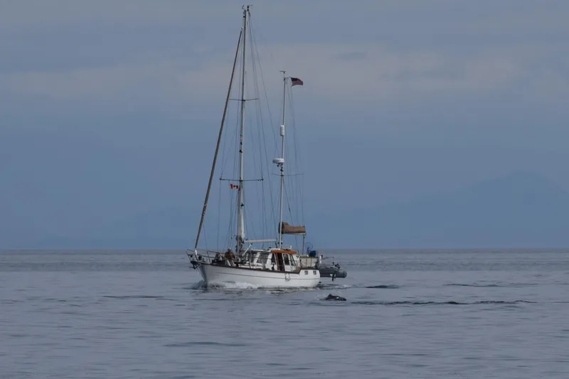 Slide: The Image of Sailing yacht Nauticat Staysail Ketch 2001 on calm ocean waters under cloudy sky. - 1