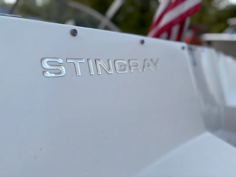 Slide: The Image of Stingray 191 DC 2018 - 15