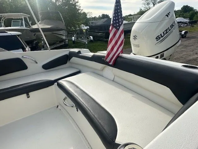 Slide: The Image of Stingray 191 DC 2018 - 16