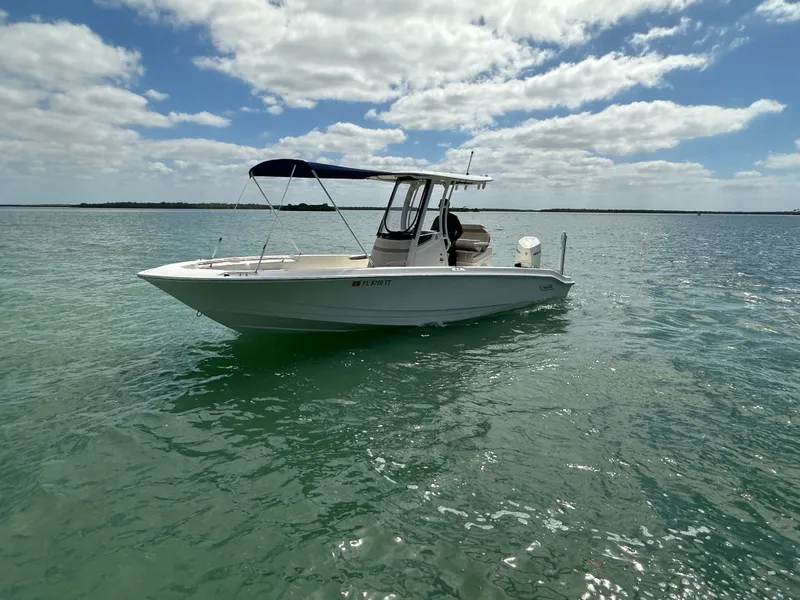 Slide: The Image of Boston Whaler 250 Dauntless 2024 - 10