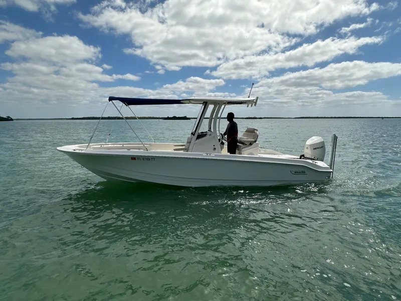 Slide: The Image of Boston Whaler 250 Dauntless 2024 - 11