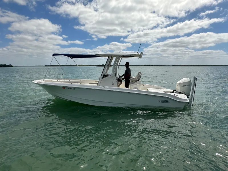 Slide: The Image of Boston Whaler 250 Dauntless 2024 - 12