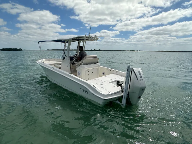 Slide: The Image of Boston Whaler 250 Dauntless 2024 - 14