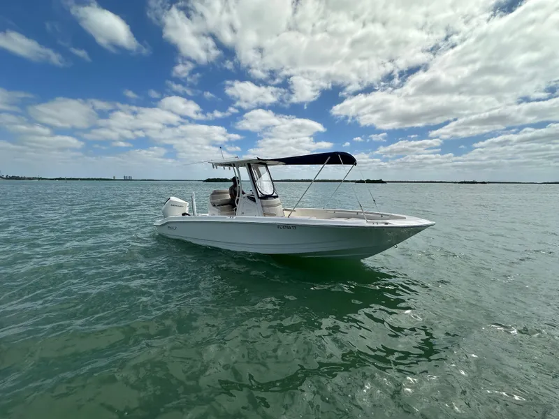 Slide: The Image of Boston Whaler 250 Dauntless 2024 - 2