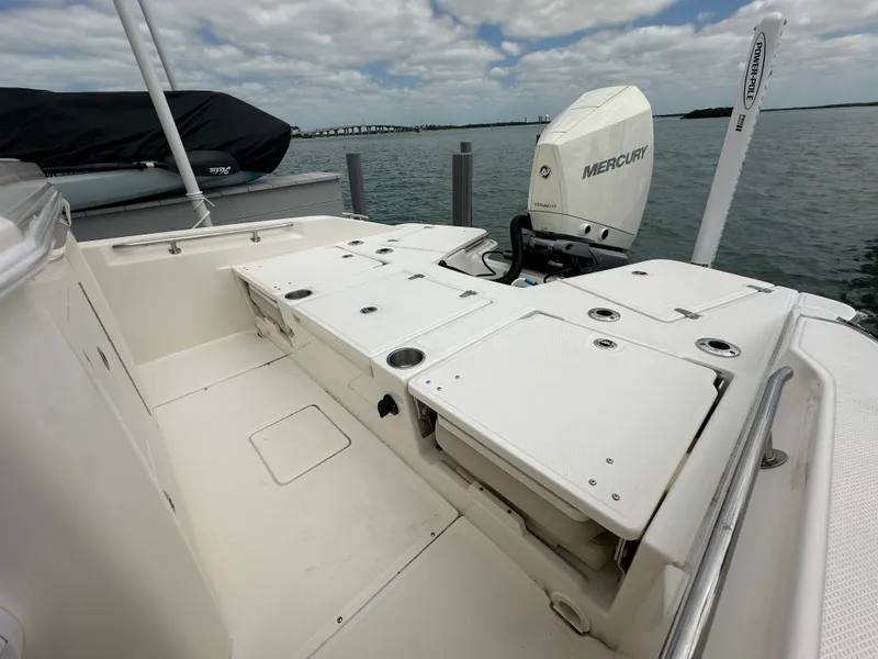 Slide: The Image of Boston Whaler 250 Dauntless 2024 - 29