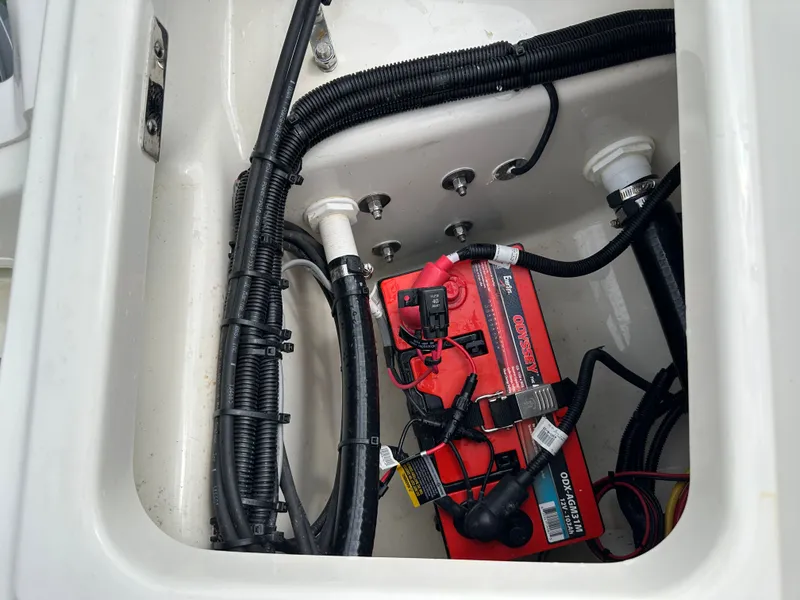 Slide: The Image of Boston Whaler 250 Dauntless 2024 - 31