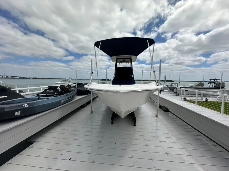 Slide: The Image of Boston Whaler 250 Dauntless 2024 - 33