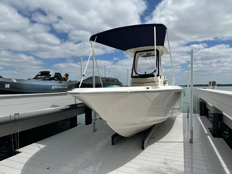 Slide: The Image of Boston Whaler 250 Dauntless 2024 - 34