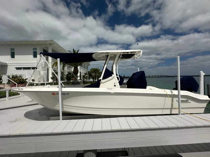 Slide: The Image of Boston Whaler 250 Dauntless 2024 - 37