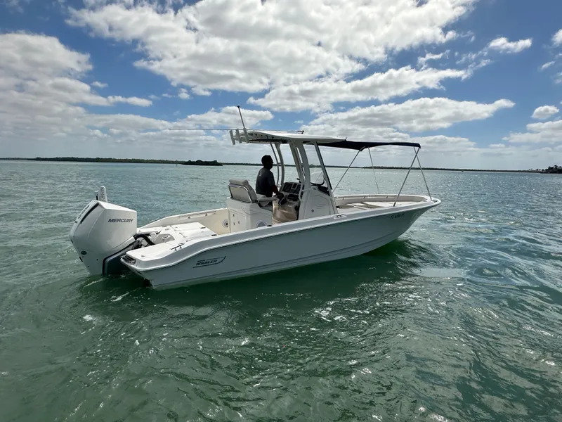Slide: The Image of Boston Whaler 250 Dauntless 2024 - 4
