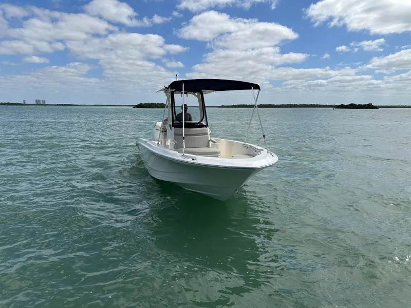 Slide: The Image of Boston Whaler 250 Dauntless 2024 - 5