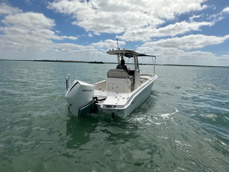 Slide: The Image of Boston Whaler 250 Dauntless 2024 - 7