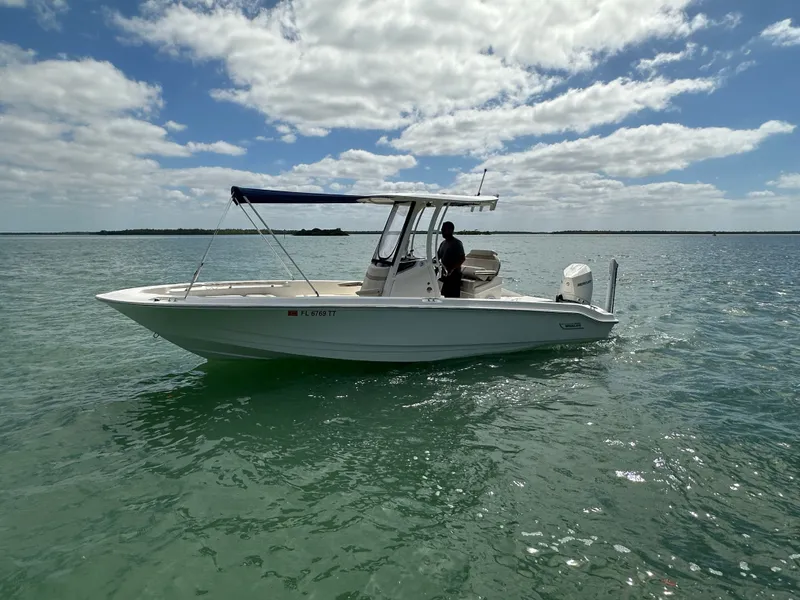 Slide: The Image of Boston Whaler 250 Dauntless 2024 - 9
