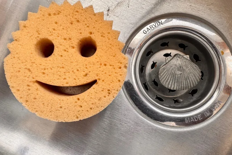 Slide: The Image of Smiley face sponge beside a Garvin sink drain with fish-shaped holes. - 20