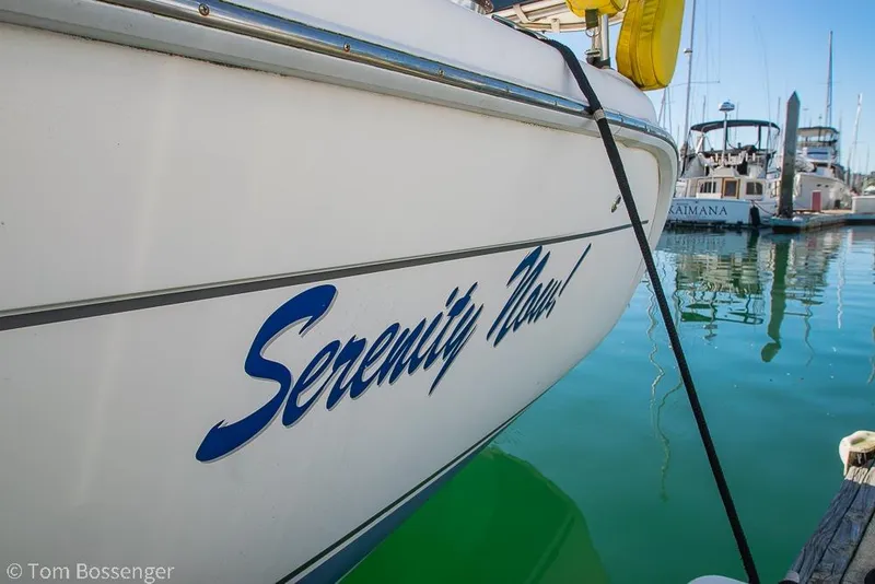 Slide: The Image of Hunter 31 sailboat named "Serenity Now" docked in a marina, 2008 model. - 3