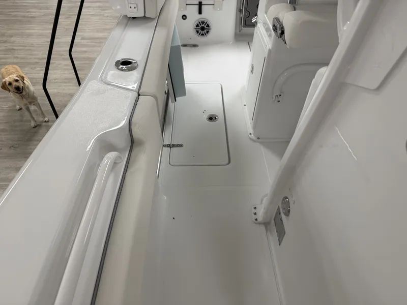 Slide: The Image of Sea Hunt Gamefish 25 2026 - 16