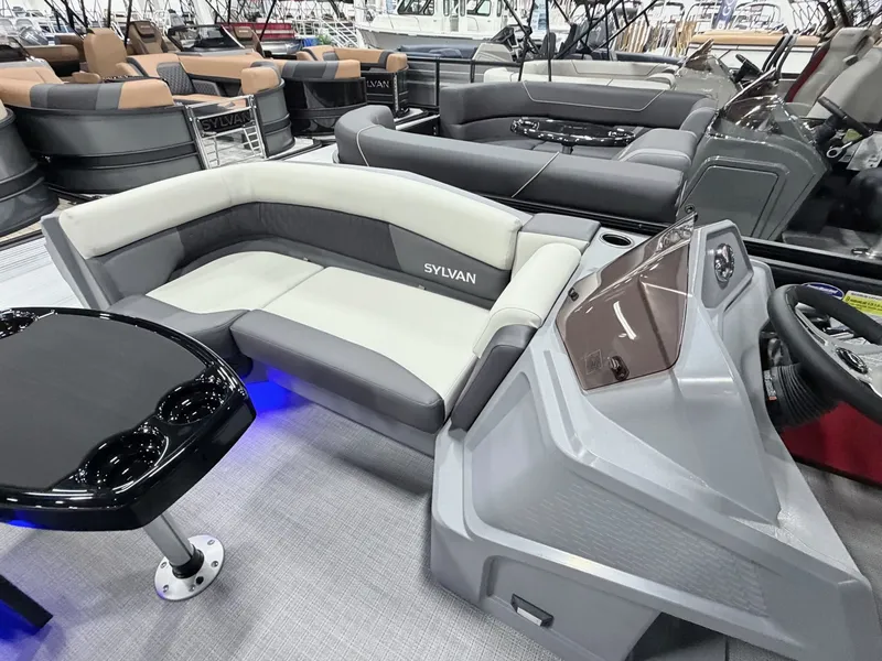 Slide: The Image of Sylvan R20 Party Fish 2026 - 5