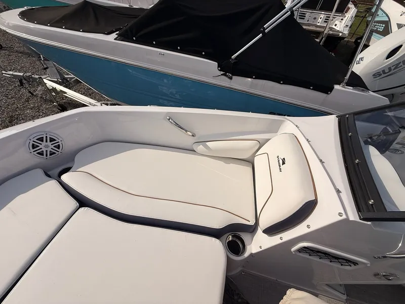 Slide: The Image of Stingray 191 DC 2026 - 20