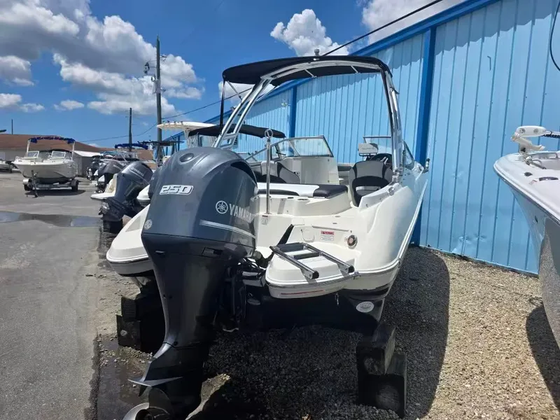 Slide: The Image of Stingray 234 LR 2018 - 3