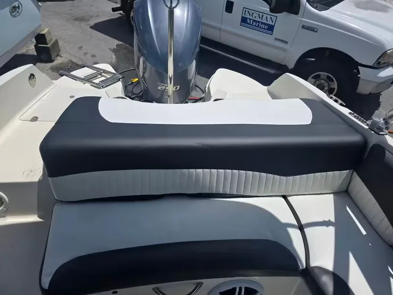 Slide: The Image of Stingray 234 LR 2018 - 6