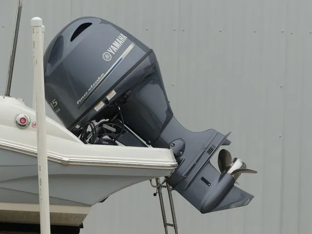 Slide: The Image of Stingray 191 DC 2022 - 11
