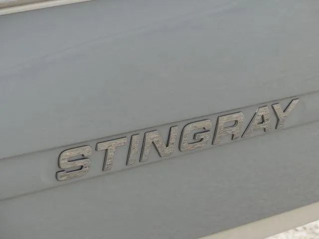 Slide: The Image of Stingray 191 DC 2022 - 16