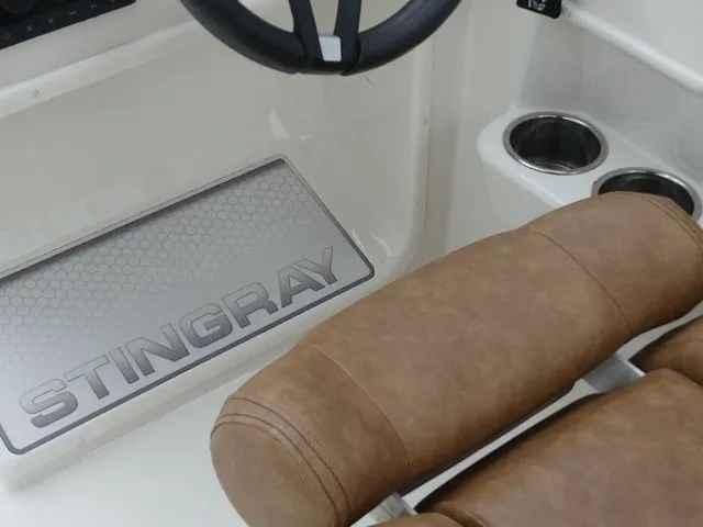 Slide: The Image of Stingray 191 DC 2022 - 32