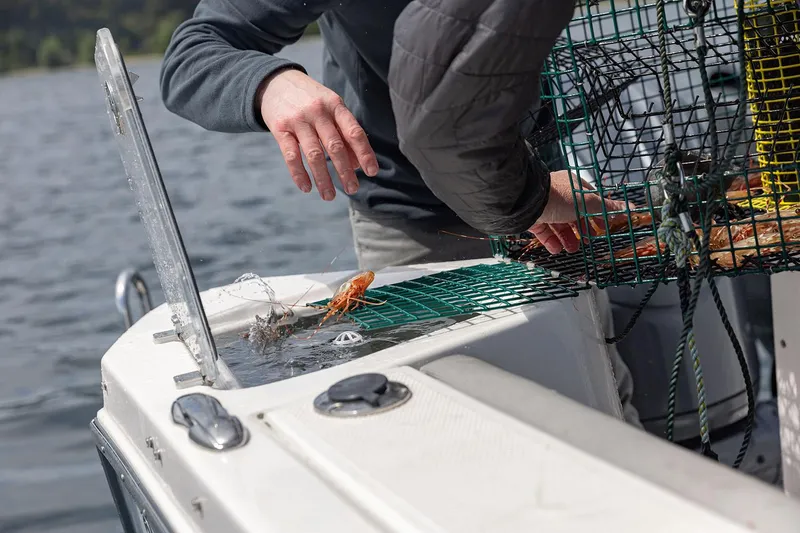 Slide: The Image of Manufacturer Provided Image: Person handling crab trap on Solara S-310 CW boat, 2025 model. - 22