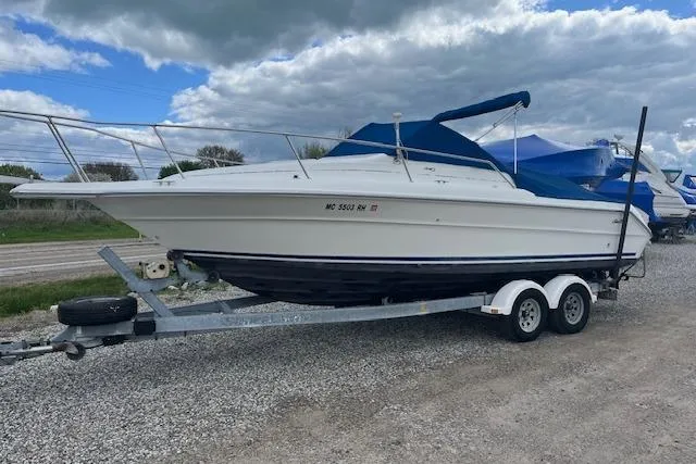 The Image of 1996 Sea Ray Laguna 24 Flushdeck Cuddy boat on trailer, parked outdoors under cloudy sky. - 1