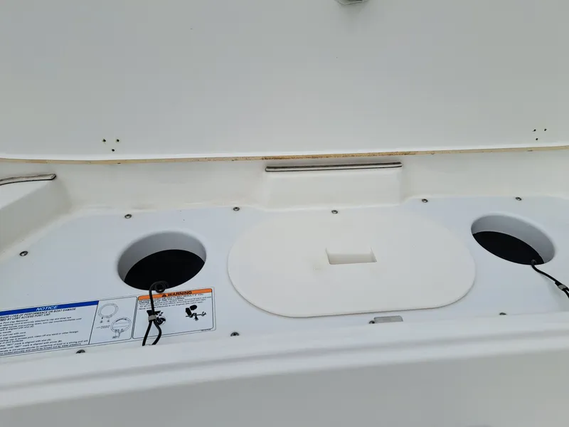 Slide: The Image of Yamaha 210 fish 2019 - 14