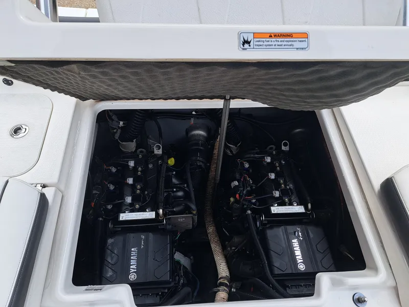 Slide: The Image of Yamaha 210 fish 2019 - 8