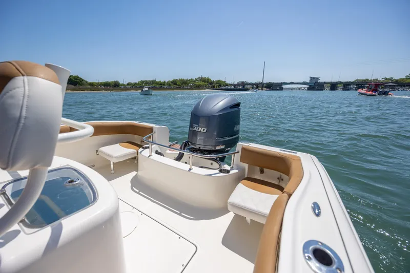 Slide: The Image of 2019 Pioneer 222 Sportfish boat on water, featuring a powerful outboard motor. - 14