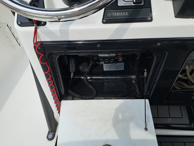 Slide: The Image of Yamaha 210 fish 2019 - 24