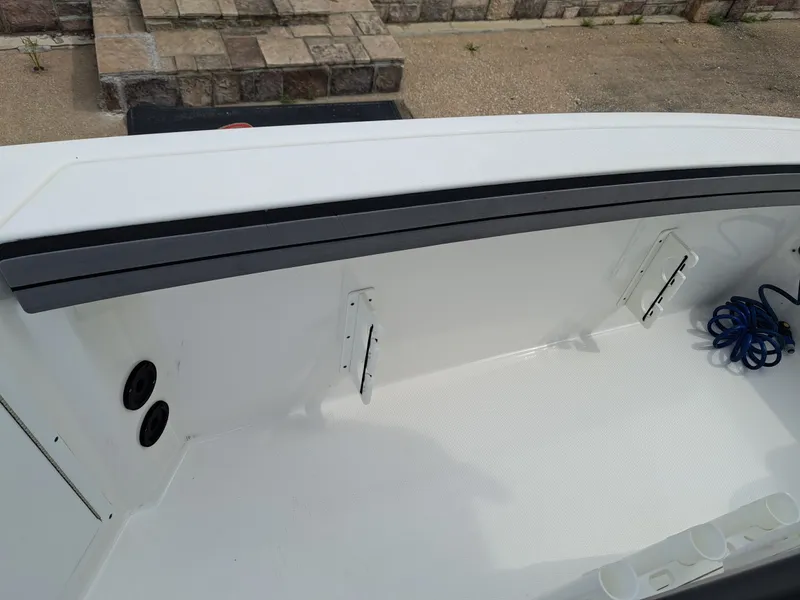 Slide: The Image of Yamaha 210 fish 2019 - 9