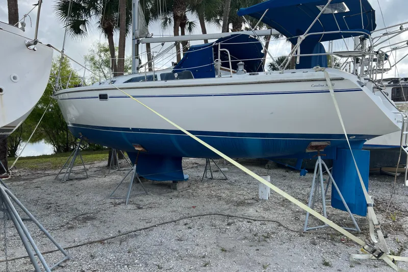 The Image of 1999 Catalina 36 MkII sailboat on stands, with blue hull and canopy, surrounded by trees. - 0