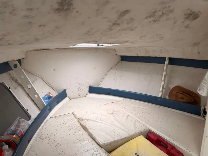 Slide: The Image of Baha Cruisers 272 Fisherman 2000 - 75