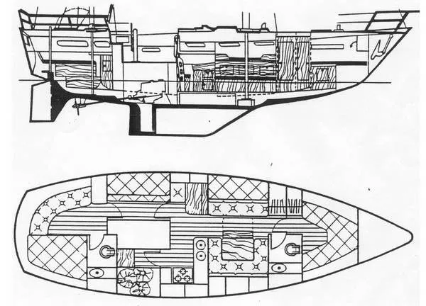 Slide: The Image of Wauquiez 43 Amphitrite 1983 - 5
