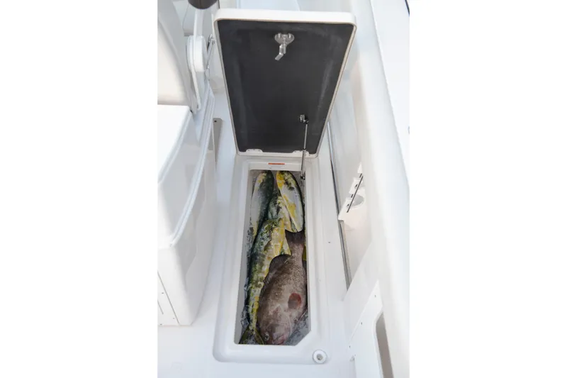 Slide: The Image of Fish storage compartment on 2027 Sailfish 272 CC boat, filled with freshly caught fish. - 17