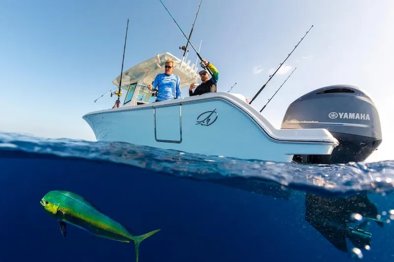 Slide: The Image of Fishing on a 2027 Sailfish 272 CC boat with Yamaha engine, dolphin fish swimming below. - 6