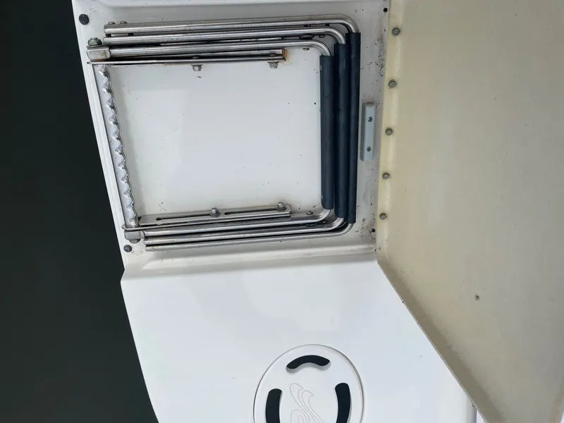 Slide: The Image of Swim ladder on a 2021 Sea Ray 280 Sun Sport boat. - 26