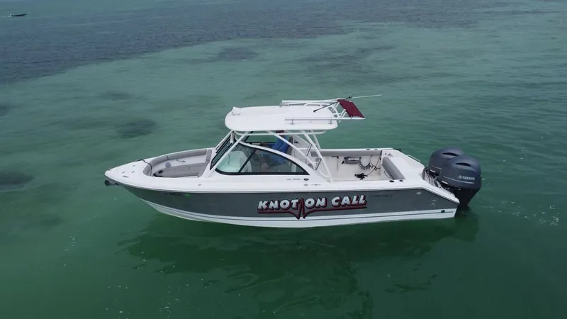 The Image of Pursuit DC 265 Dual Console 2015 - 0
