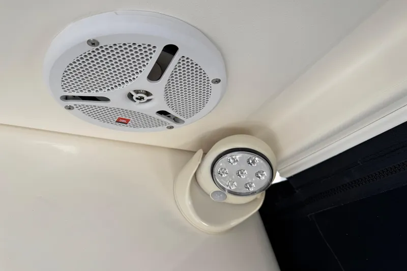Slide: The Image of Ceiling-mounted speaker and light in 2007 Meridian 411 Sedan interior. - 46
