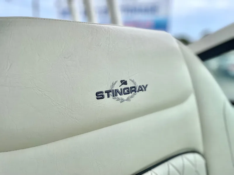 Slide: The Image of Stingray 269 DC 2020 - 61