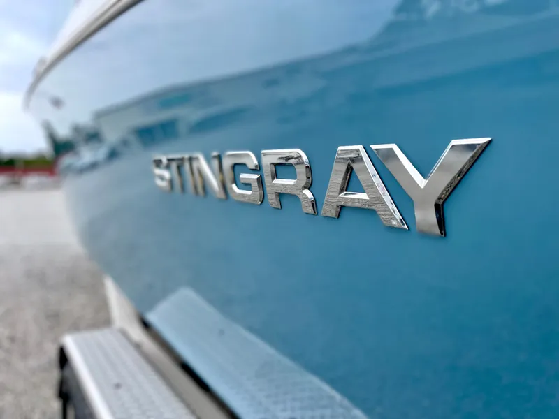 Slide: The Image of Stingray 269 DC 2020 - 62