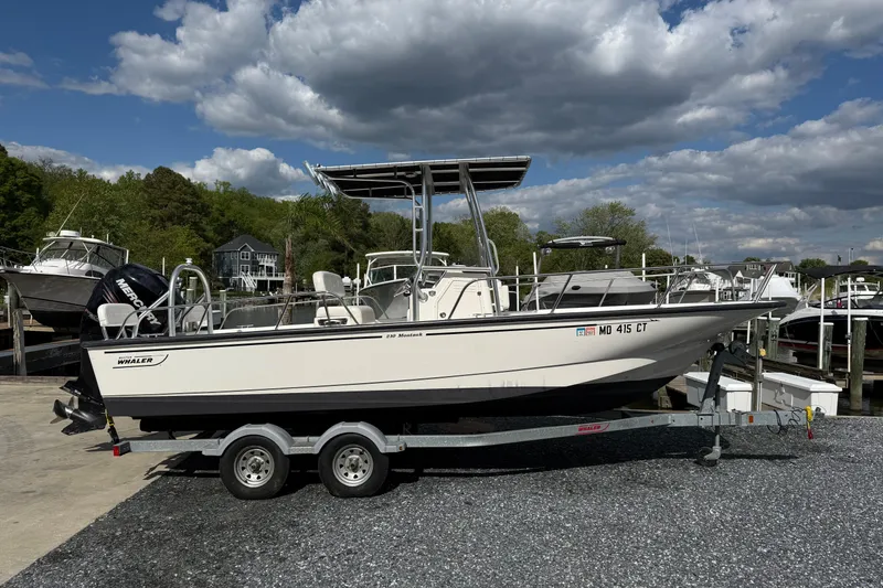 The Image of 2018 Boston Whaler 210 Montauk boat on trailer, parked at marina under cloudy sky. - 0