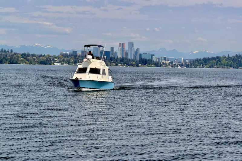 The Image of 1970 Bertram boat cruising on a lake with city skyline and mountains in the background. - 0