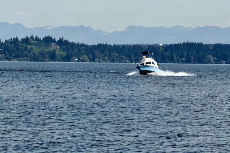 Slide: The Image of 1970 Bertram boat cruising on a lake with forested shoreline and distant mountains. - 2
